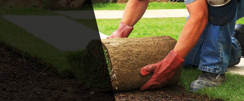 Muscatine Landscapers